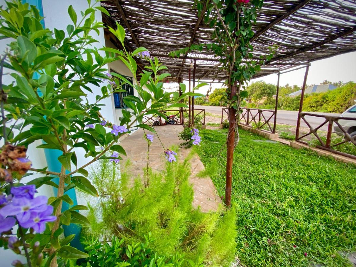 Dragonfly Otel Jambiani  Dış mekan fotoğraf